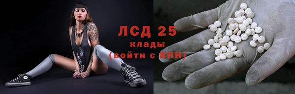 дживик Абинск