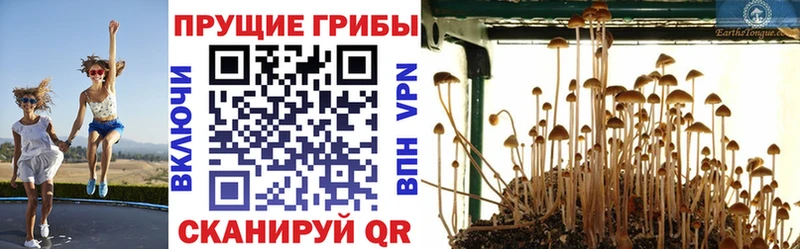 hydra как зайти  Ядрин  Галлюциногенные грибы Magic Shrooms  где найти наркотики 